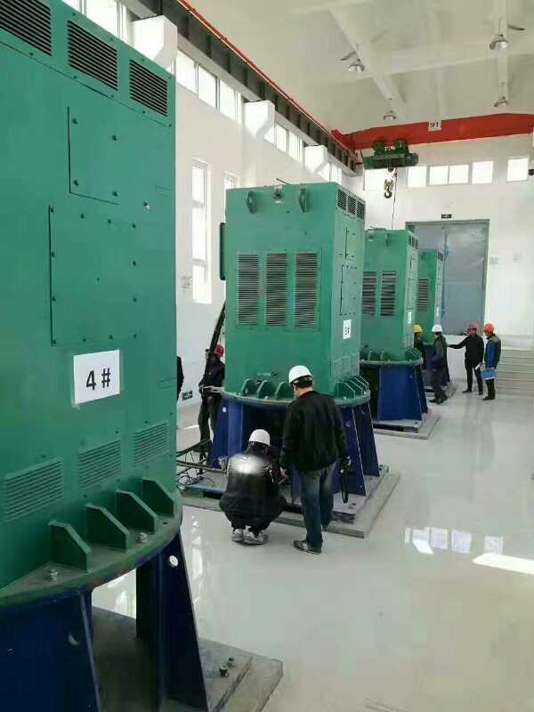 鲁山某污水处理厂使用我厂的立式高压电机安装现场生产厂家